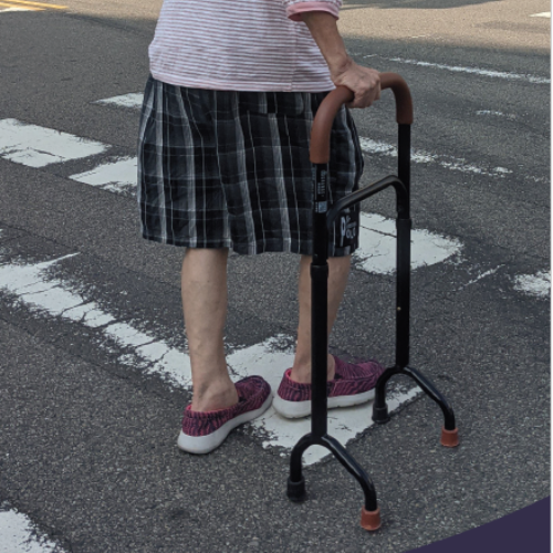 Multi-Purpose Cane (Wide)