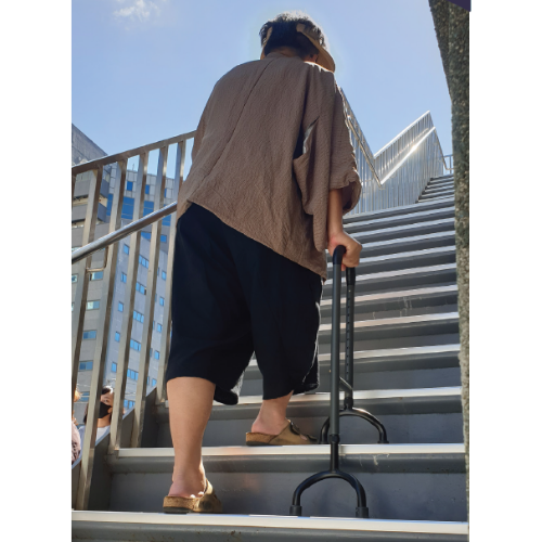Multi-Purpose Cane