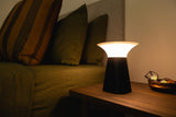 Deluxe Rechargeable Mushroom Touch Lamp Kit Incl Plug