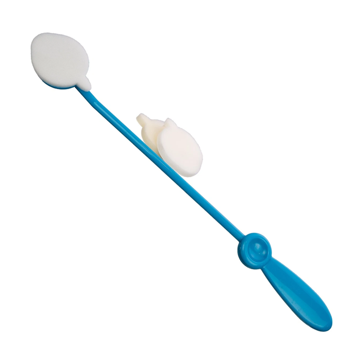 Lotion Applicator with Replaceable Sponge